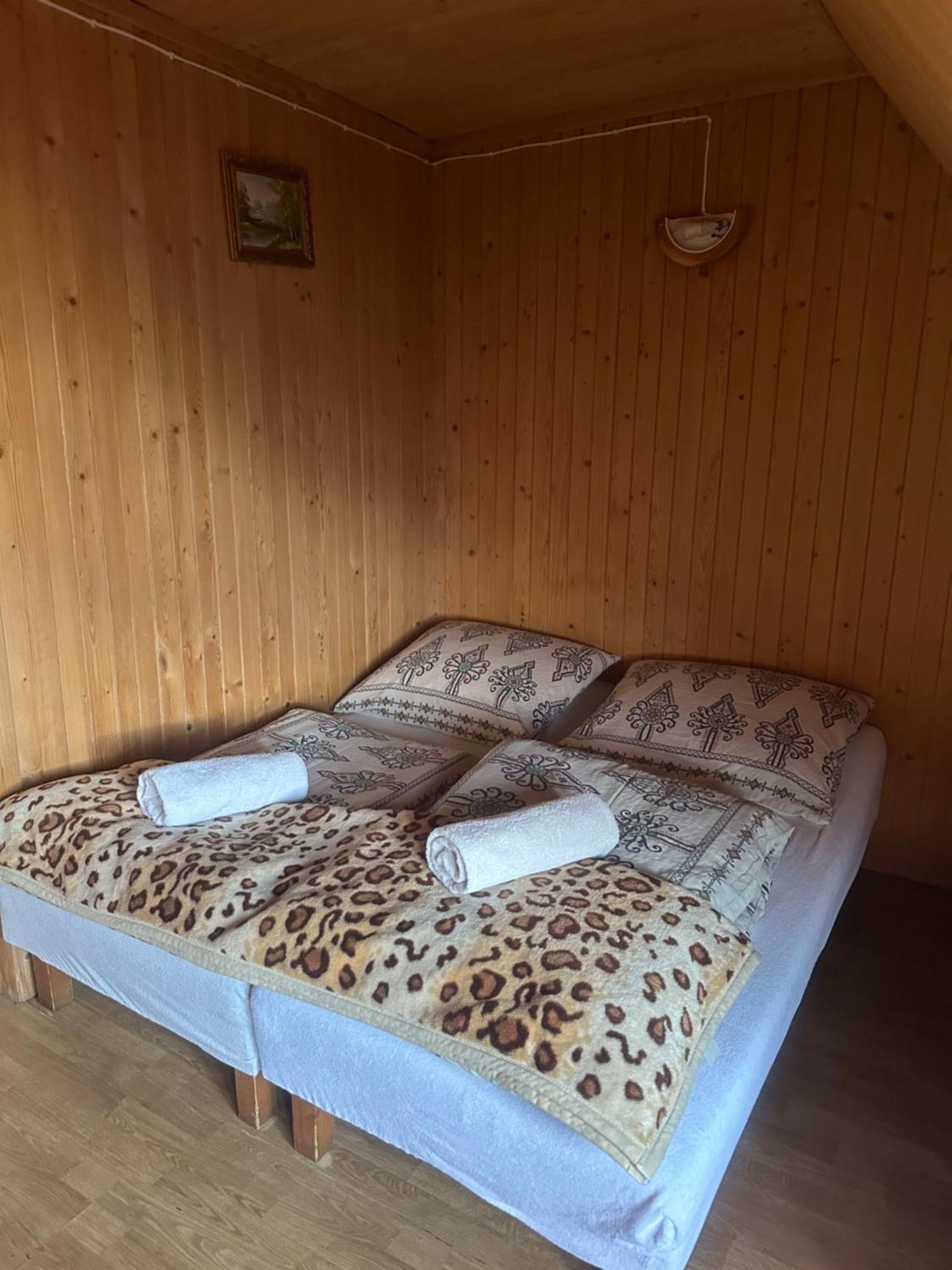 Pokoje Goscinne U Zofii بوكافينا تترايسكا المظهر الخارجي الصورة